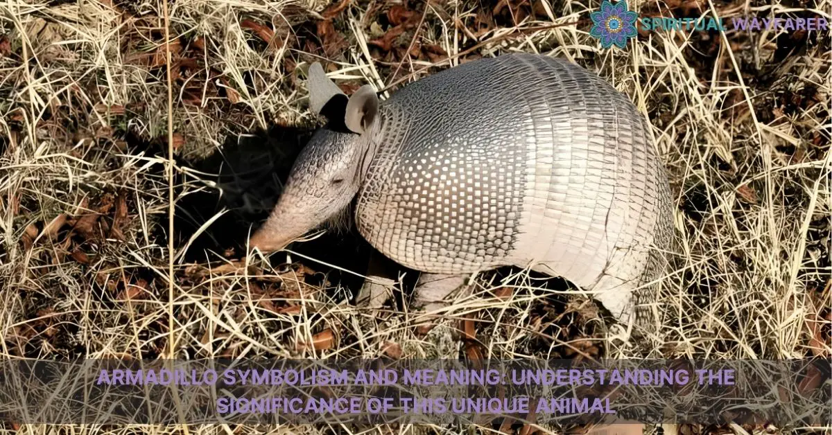 armadillo symbolism and meaning