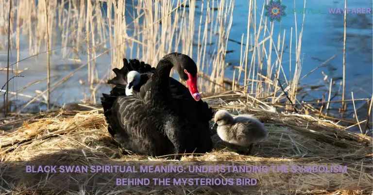 black swan spiritual meaning