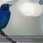 blue cardinal spiritual meaning