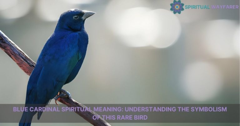 blue cardinal spiritual meaning