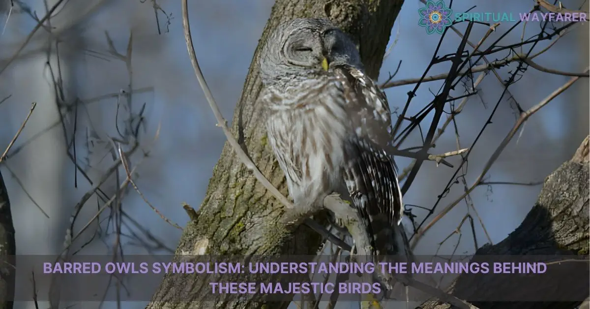 barred owls symbolism