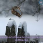 biblical meaning of seeing a falcon