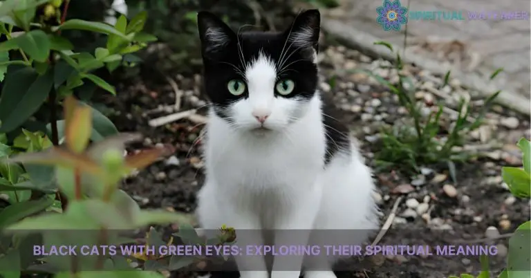 black cats with green eyes spiritual meaning