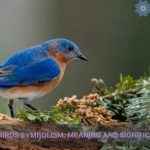 bluebirds symbolism