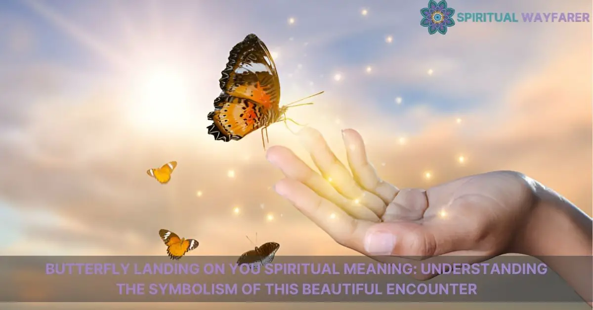 butterfly landing on you spiritual meaning