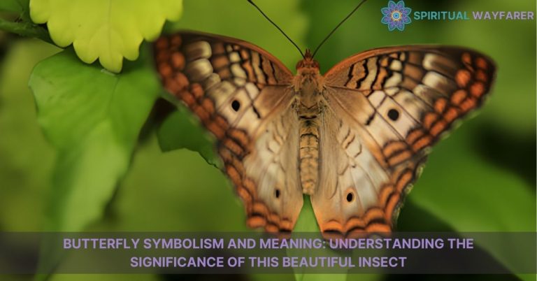 butterfly symbolism and meaning