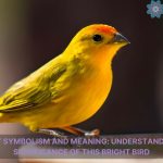 canary symbolism and meaning