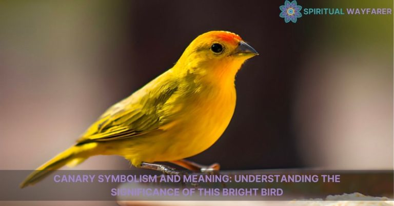 canary symbolism and meaning