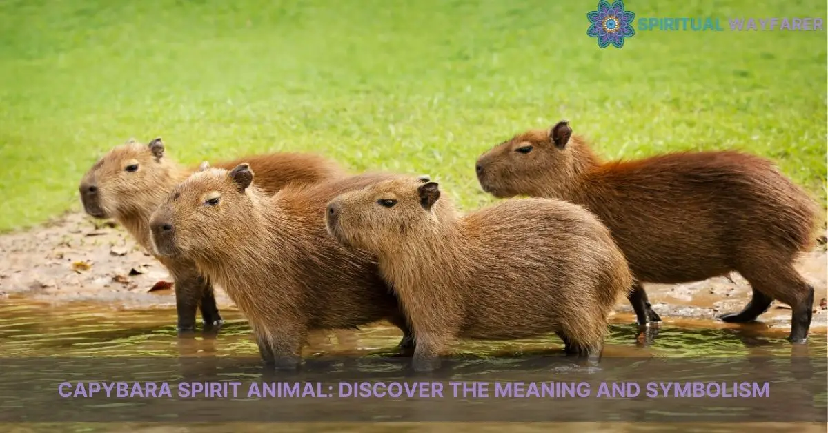 capybara spirit animal