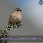 cedar waxwing spiritual meaning symbolism and totem