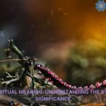 centipede spiritual meaning