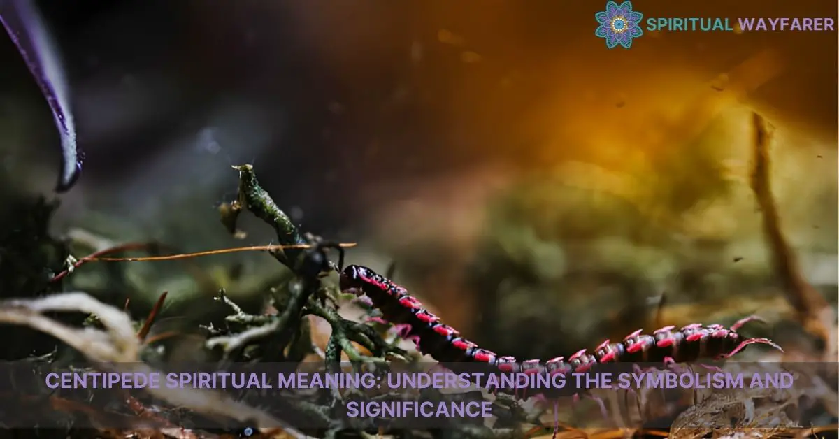 centipede spiritual meaning