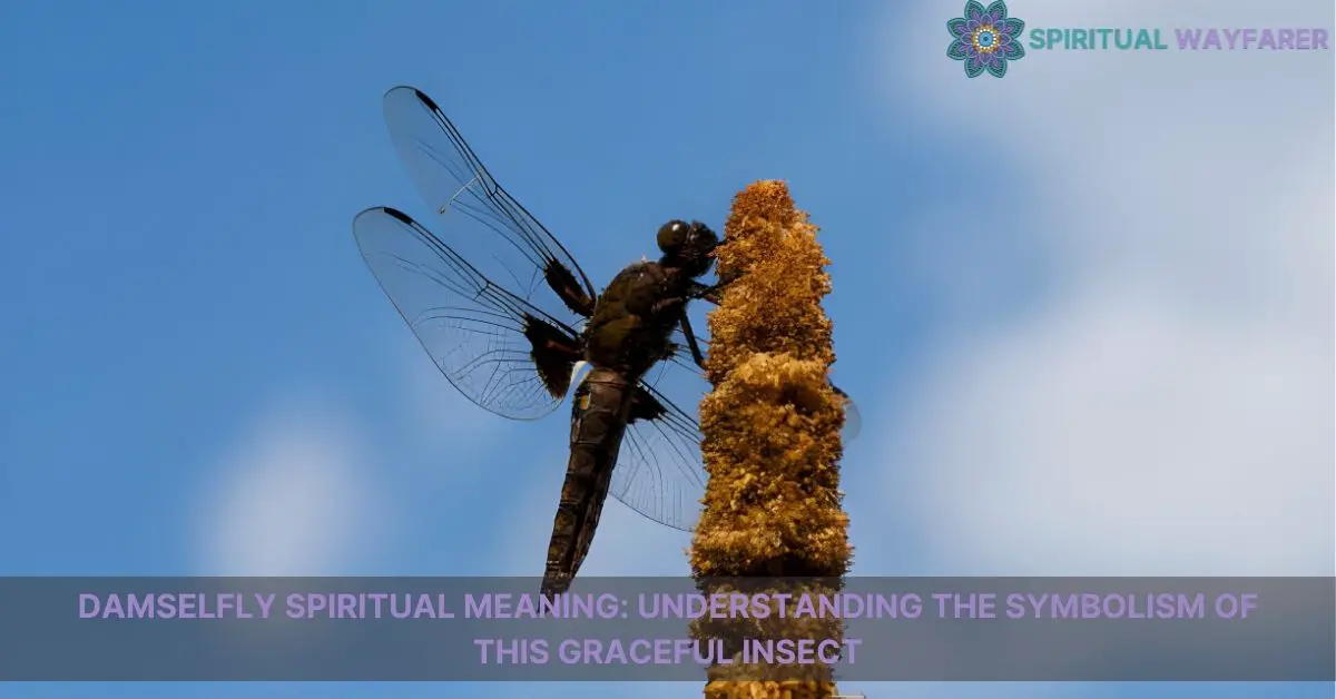 damselfly spiritual meaning