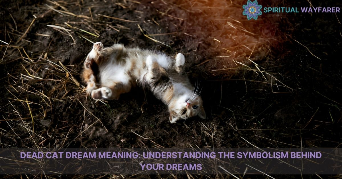 dead cat dream meaning