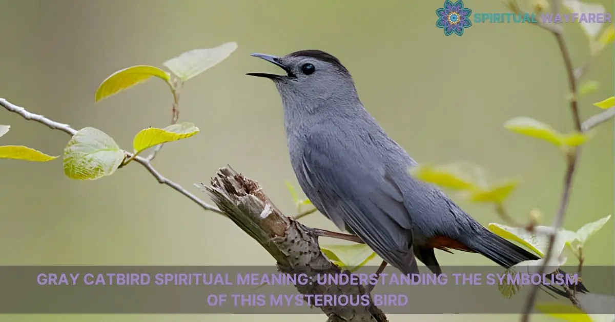 gray catbird spiritual meaning