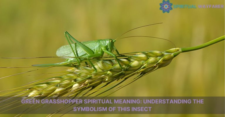 green grasshopper spiritual meaning