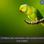 green parrot symbolism