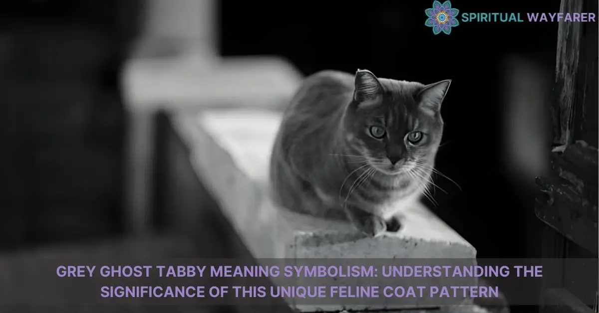 grey ghost tabby meaning symbolism