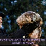 groundhog spiritual meaning