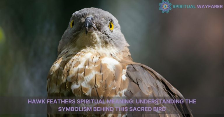 hawk feathers spiritual meaning