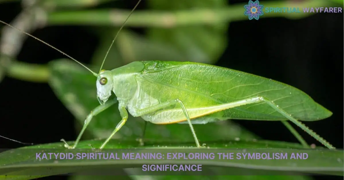 katydid spiritual meaning