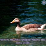 lone goose spiritual meaning