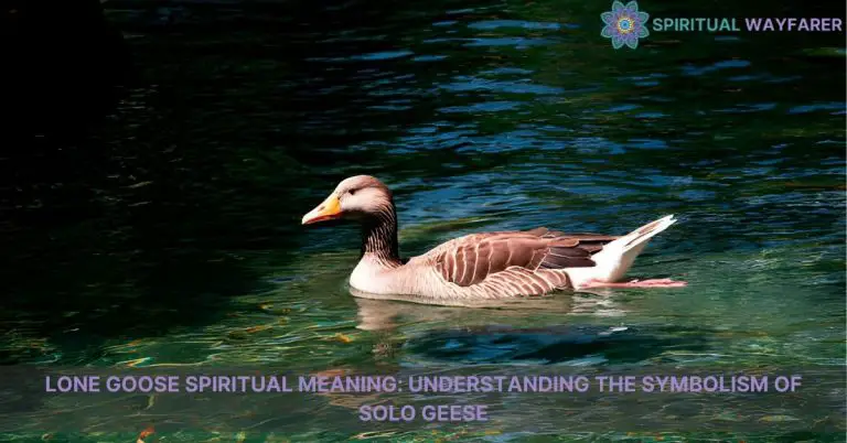 lone goose spiritual meaning