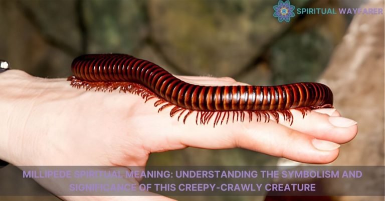 millipede spiritual meaning