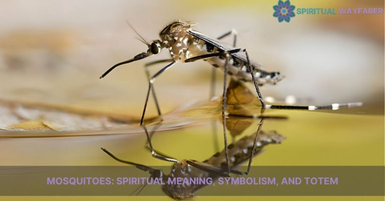 mosquitoes spiritual meaning symbolism totem