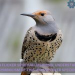 northern flicker spiritual meaning