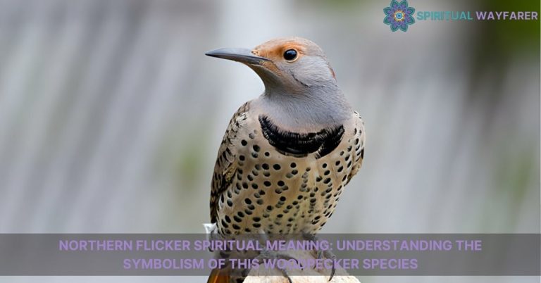 northern flicker spiritual meaning