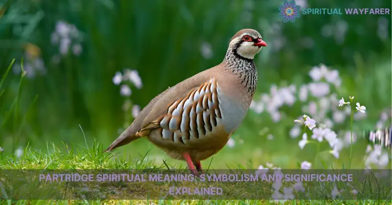 partridge spiritual meaning