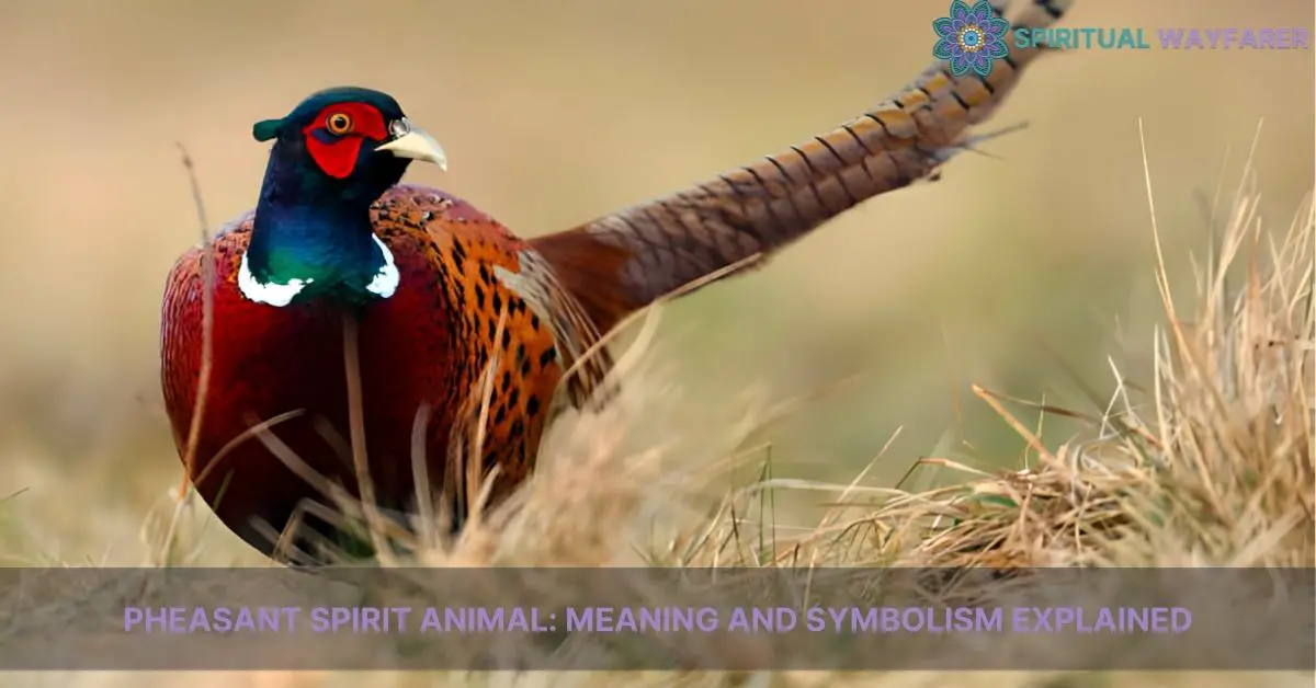 pheasant spirit animal