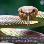 rattlesnake spiritual meaning