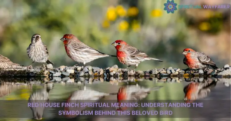 red house finch spiritual meaning