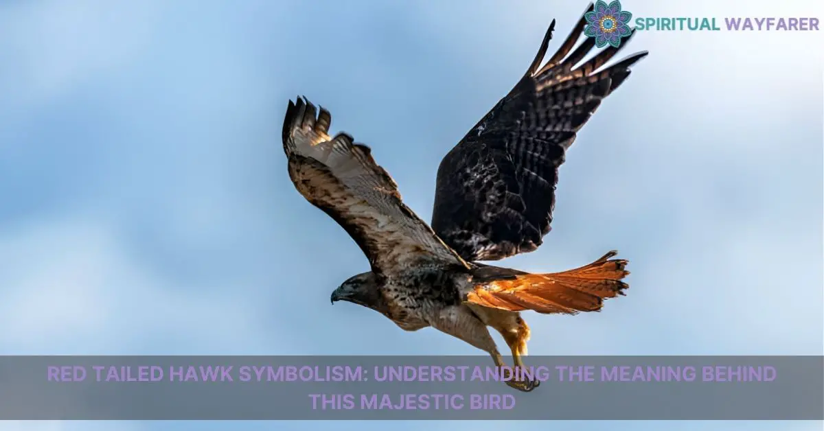 red tailed hawk symbolism