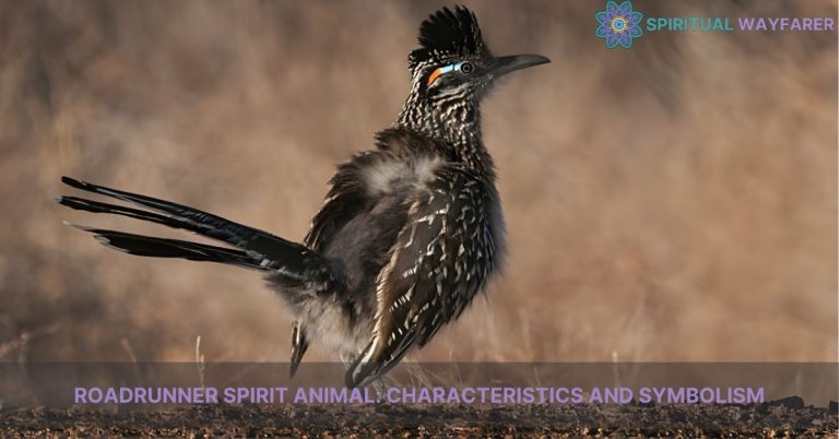 roadrunner spirit animal