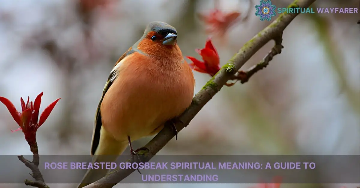 rose breasted grosbeak spiritual meaning