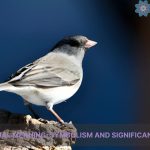 shrike spiritual meaning