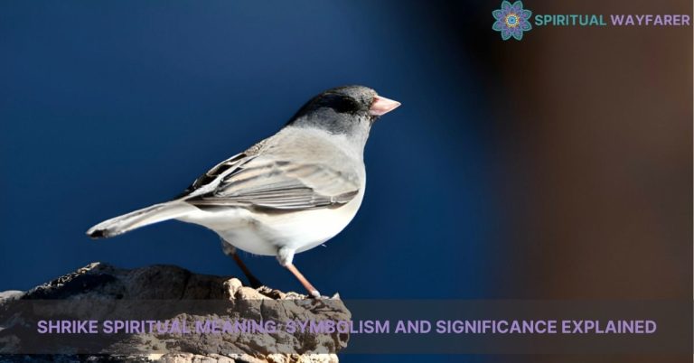 shrike spiritual meaning