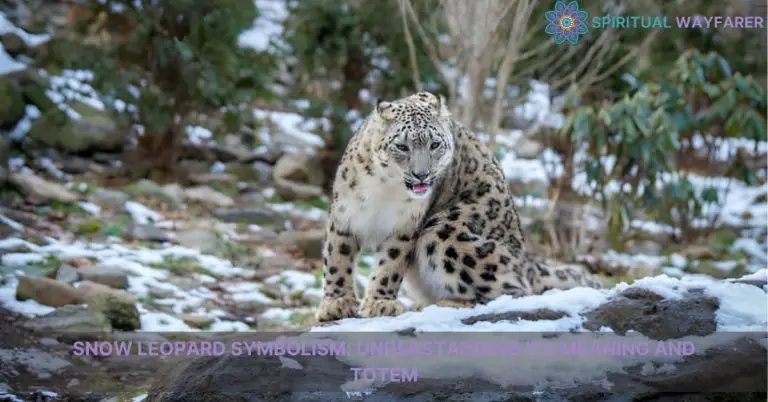 snow leopard meaning symbolism and totem