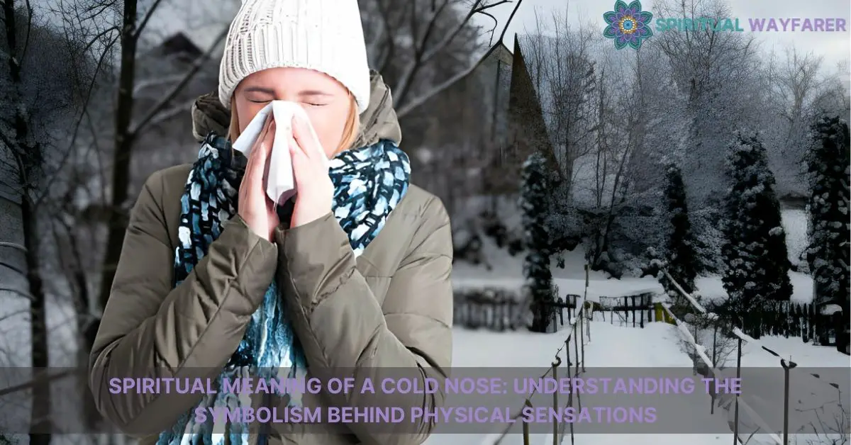 spiritual meaning of a cold nose