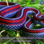 spiritual meaning of a garter snake