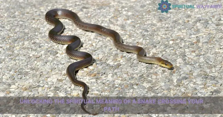 spiritual meaning of a snake crossing your path