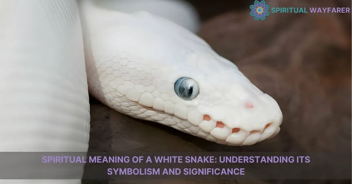 spiritual meaning of a white snake