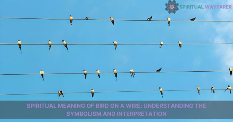 spiritual meaning of bird on a wire