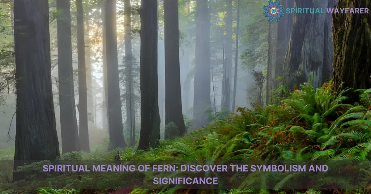 spiritual meaning of fern