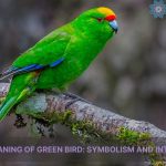 spiritual meaning of green bird