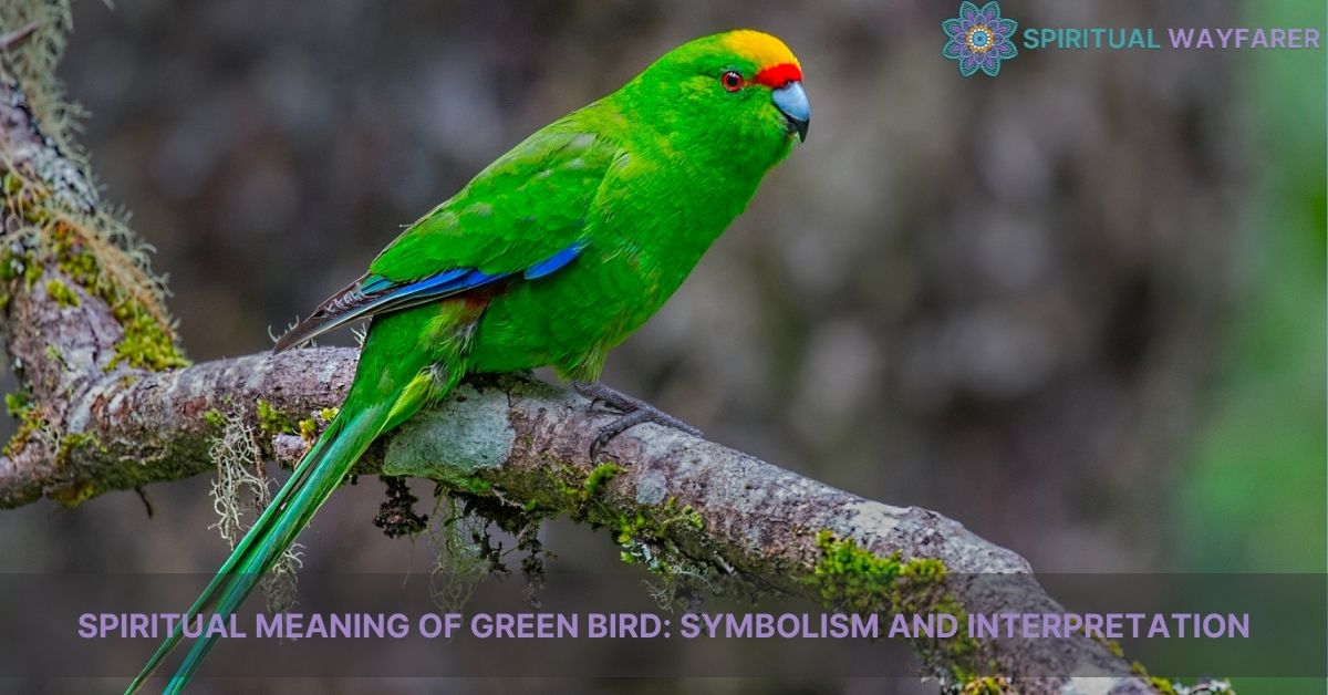 spiritual meaning of green bird