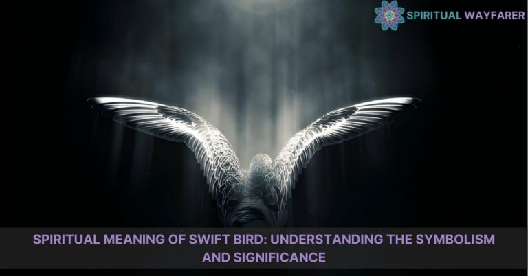 spiritual meaning of swift bird